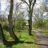 Remains of Canal, Chippenham, Wiltshire. Spring 2005