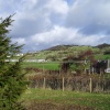 Looking towards Wartbarrow and Quarry