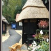 Entrance to tea rooms. Furzy Gardens. April 2005 DG.
