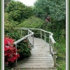 Small bridge  at Furzy Gardens.  Minstead.  New Forest