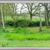 Scene at Furzy gardens April 24 2005