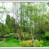 A picture of Furzy Gardens