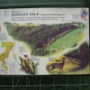 Kingley Vale Nature Reserve