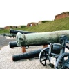 Russian Licorne, which has damage from Crimean war on the barrel