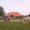 Newmarket Racecourse 2003