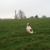 A picture of Chippenham