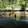 Enjoying the summer, Exmoor, Devon