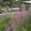 Beer Gardens, Beer, Devon