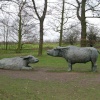 Water Buffalo by Elizabeth Frink, Yorkshire Sculpture Park.