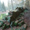 Footpath going up to Captain Cooks Nr Great Ayton. Taken in Feb 2005.