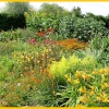 Hyde Hall Gardens