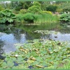 Hyde Hall Gardens