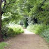 Sprotbrough