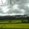Wheelers Wood, Chippenham