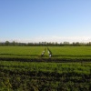 Penrose area fields