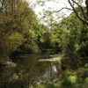 Old Boating Lake at Poynings