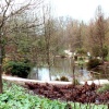 The Lake