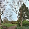 Path & general view