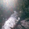 Barton Springs, Barton Le Clay, Bedfordshire