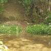 Ashwell Springs, Ashwell. The source of the River Cam