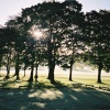 Towneley Homes on a May morning