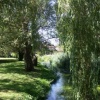 The stream, Elstead Mill