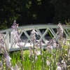 Frensham Great Pond Bridge. Frensham, Surrey