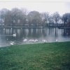A picture of Windsor