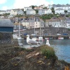 Sea Gulls at Mevagissey, Cornwall