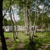 caravan club caravan, site clumber park
