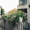 Oxford city centre,Oxfordshire. Oxford has a population of 330,000