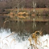 Virginia Water, Surrey