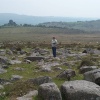 Dartmoor Park, Devon