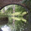 Basingstoke Canal, Surrey