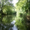 Basingstoke Canal, Surrey
