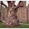Herstmonceux Castle, East Sussex