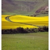 The long man, Wilmington