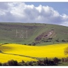 The long man, Wilmington