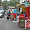 Dawlish, Devon. The chocolate Labrador that sits outside Bailey's every morning