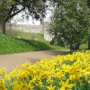 Arundel Castle