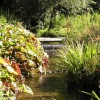 Benson Brook, Benson, Oxon