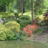 Waterfall in Leonardslee Garden