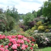 View from Memorial Table in Leonardslee Garden