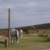 Quantock Hills, Somerset