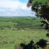 Bodmin Moor, Cornwall