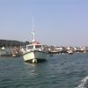 A boat in Appledore, Devon