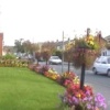 Staining - the little village in bloom 2002