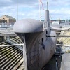 HMS Ocelot