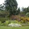 Beth Chatto Gardens, Elstead Market, Essex