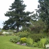 Beth Chatto Gardens